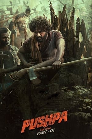 Pushpa: The Rise – Part 1 (2021) BluRay Mutli Audio ORG. {Hindi-Telugu-Malayalam-Kannada}