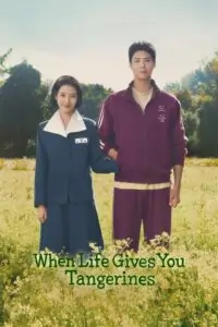 When Life Gives You Tangerines (2025) Season 1 Multi Audio {Hindi-English-Korean} NetFlix Series