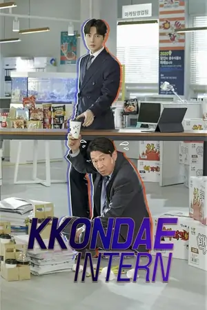Kkondae Intern (Season 1) Hindi Dubbed Complete Korean Drama Series 480p | 720p