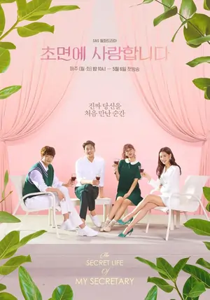 The Secret Life of My Secretary (Season 1) Hindi Dubbed Complete K-Drama Series 480p | 720p WEB-DL