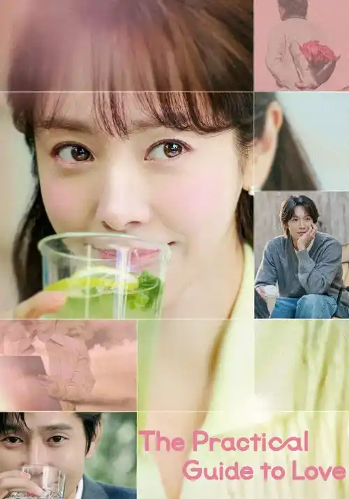 The Practical Guide to Love (Season 1) Dual Audio {Hindi-Korean} K-Drama Series 480p | 720p | 1080p